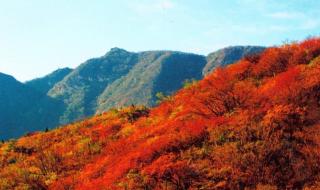 香山红叶最佳观赏期